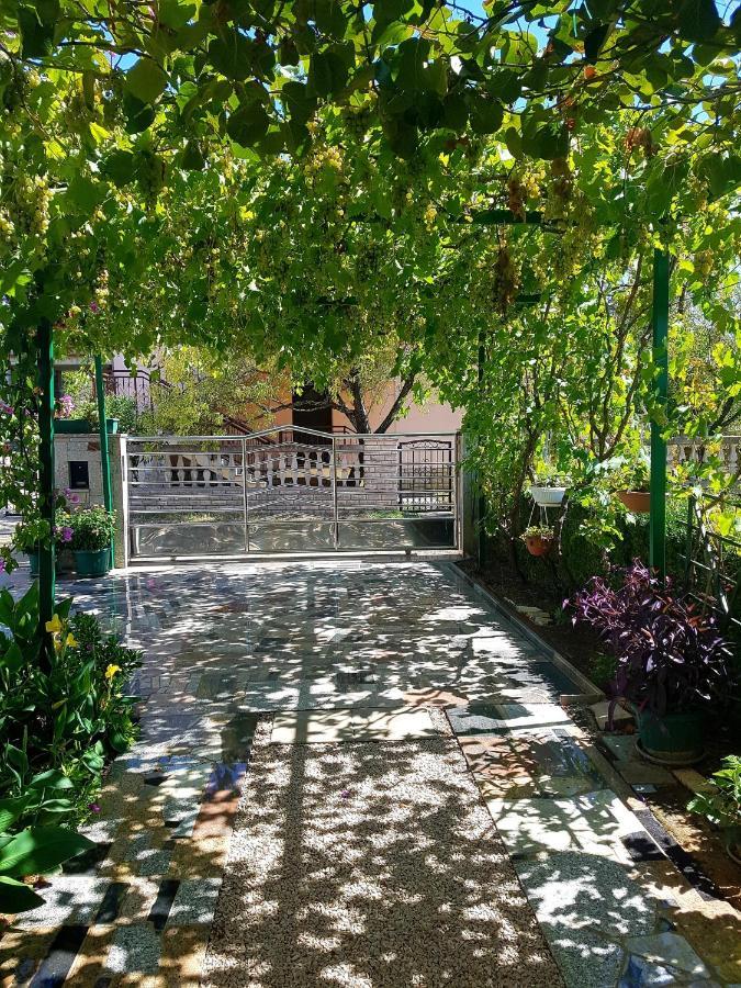 Apartments Petar & Anka Biograd Na Moru Exterior photo